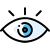 Vision